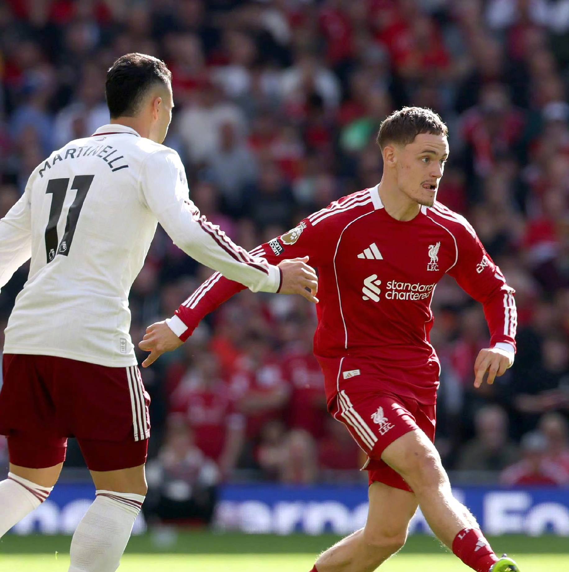 牛车队的低 牛车队的低